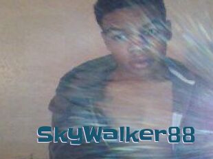 SkyWalker88