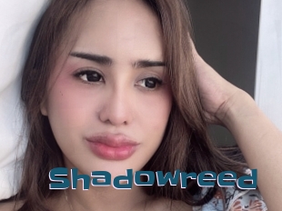 Shadowreed