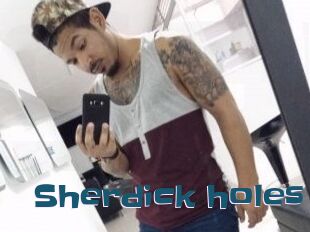 Sherdick_holes
