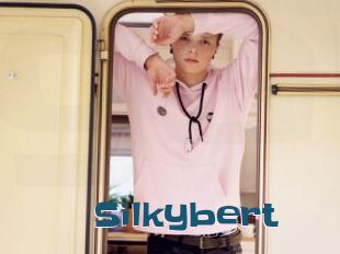 Silkybert