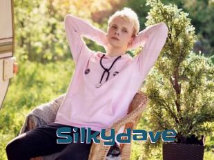 Silkydave
