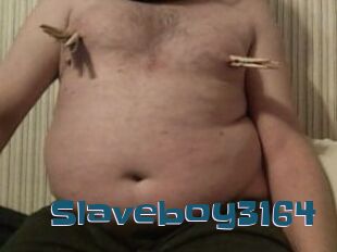 Slaveboy3164
