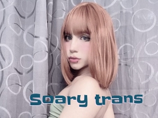 Soary_trans