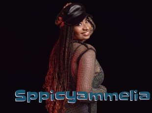 Sppicyammelia