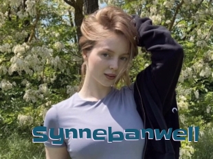 Synnebanwell