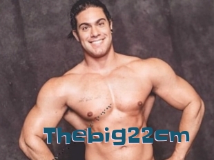 Thebig22cm