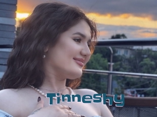 Tinneshy