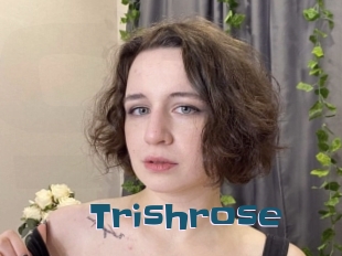 trishrose Gang Bangs