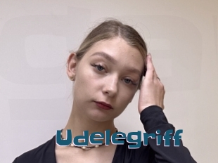 Udelegriff