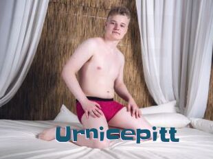 Urnicepitt