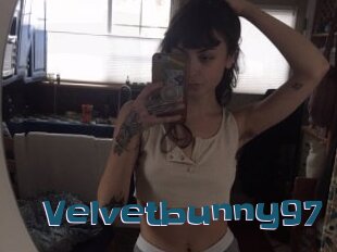 Velvetbunny97