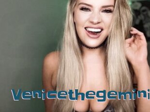 Venicethegemini