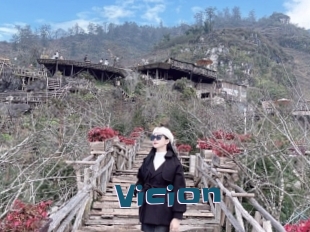 Vicion