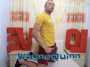 WayneQuinn