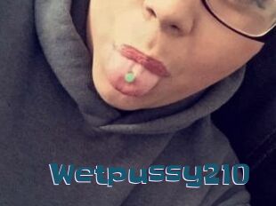 Wetpussy210