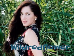 Wildredflower