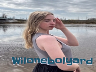 Wilonebolyard
