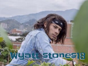 Wyatt_stones18