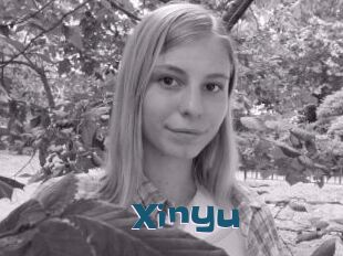 Xinyu