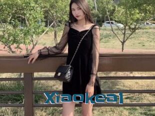 Xiaokea1