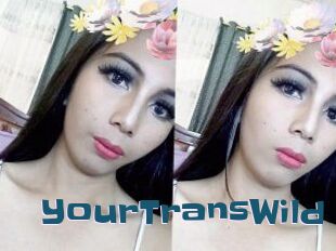 YourTransWild