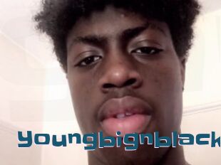 Youngbignblack