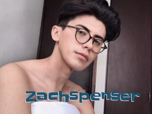 Zachspenser