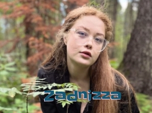 Zadnizza