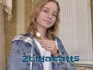 Zeldacatts