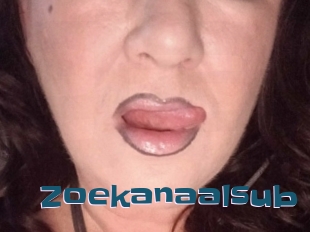 Zoekanaalsub